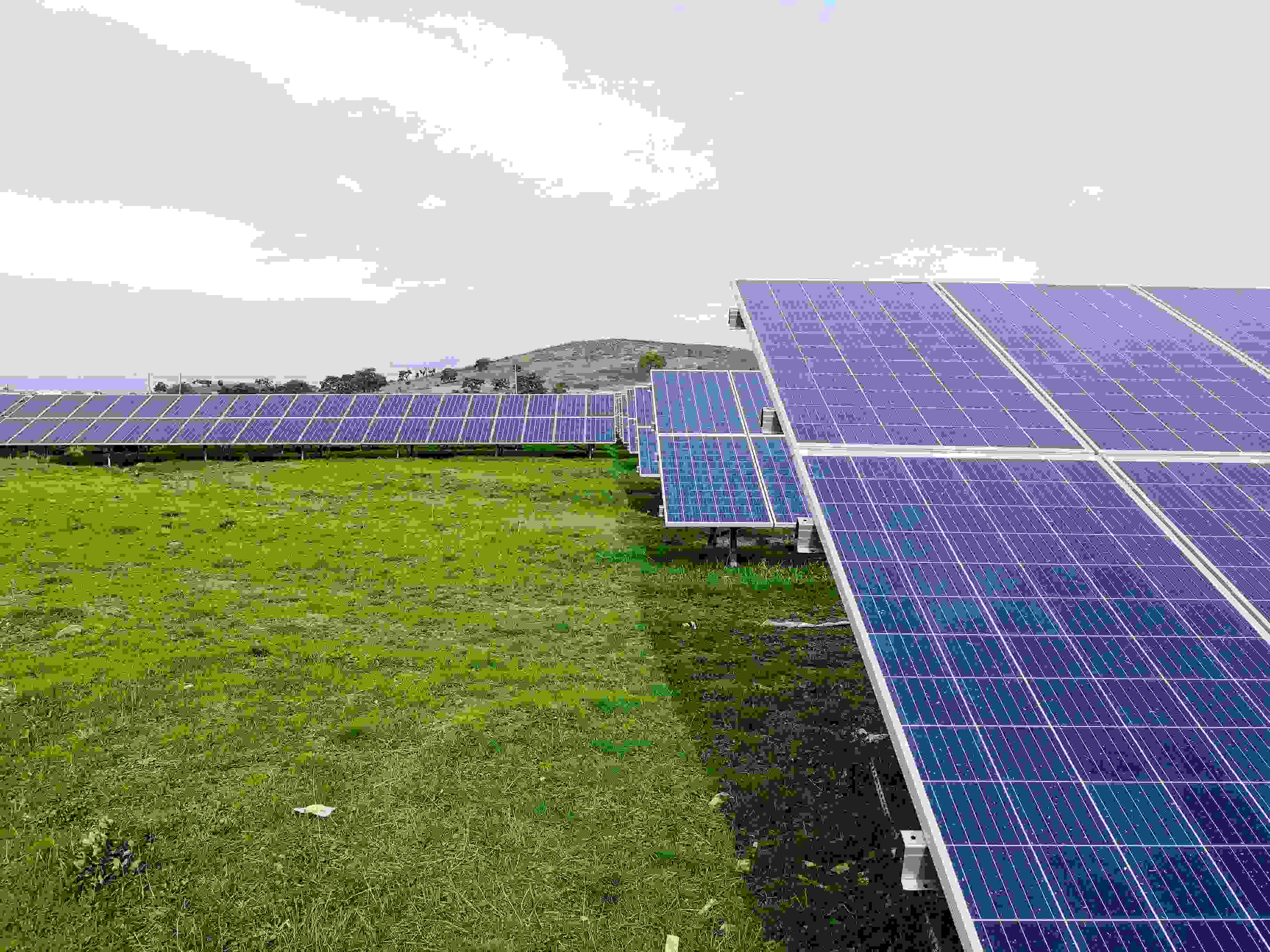 SEDA Certification: Why It Matters When Choosing a Solar Installer