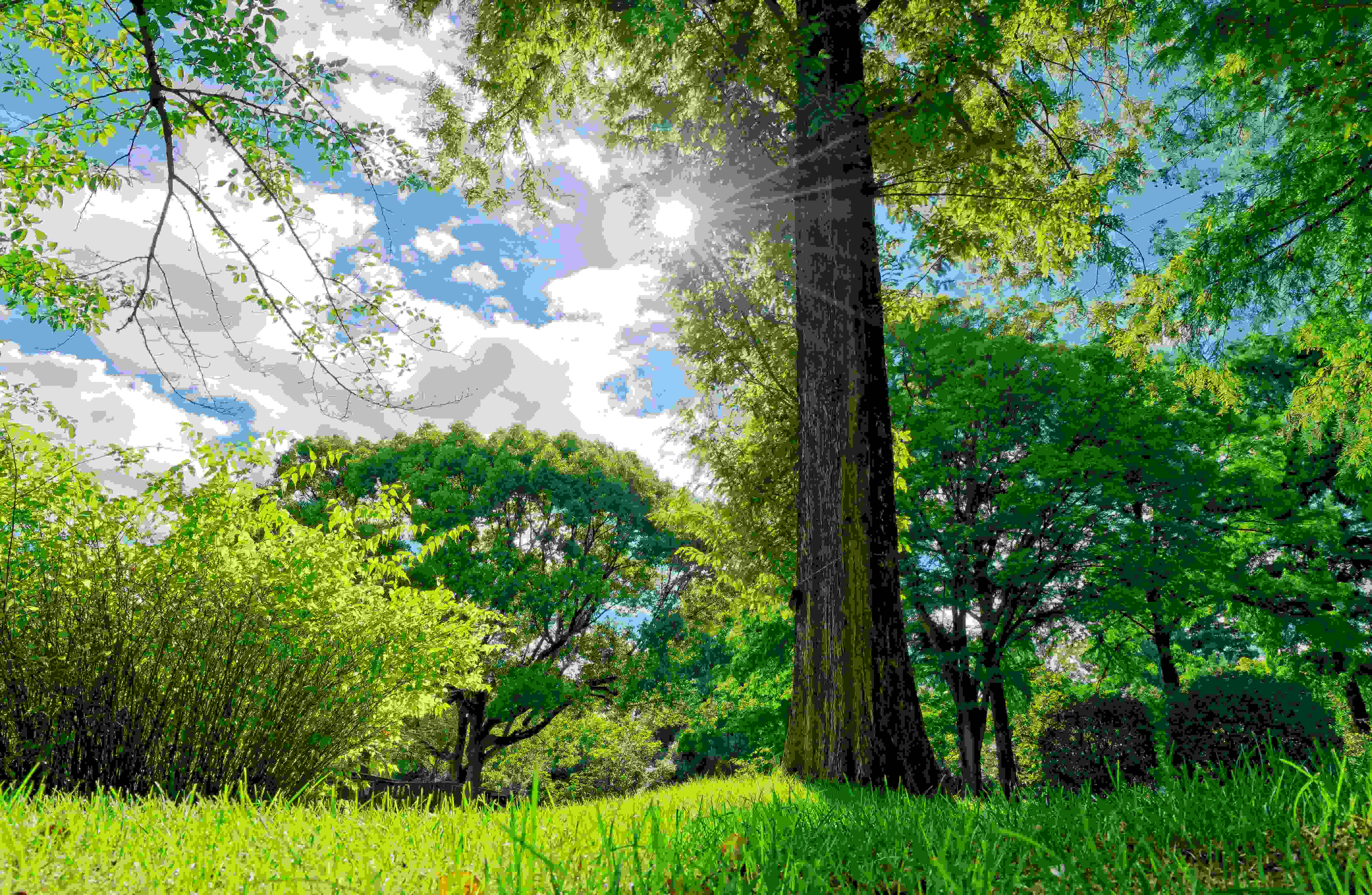 Solar ROI Calculator: How to Work Out Your Real Payback Period